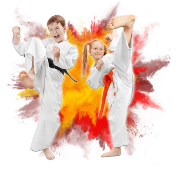 Power Training Center Tae Kwon Do